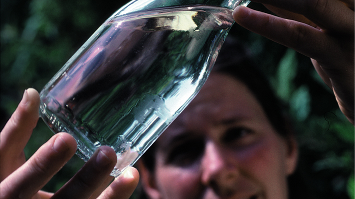 אבטחת איכות אתר קורסים